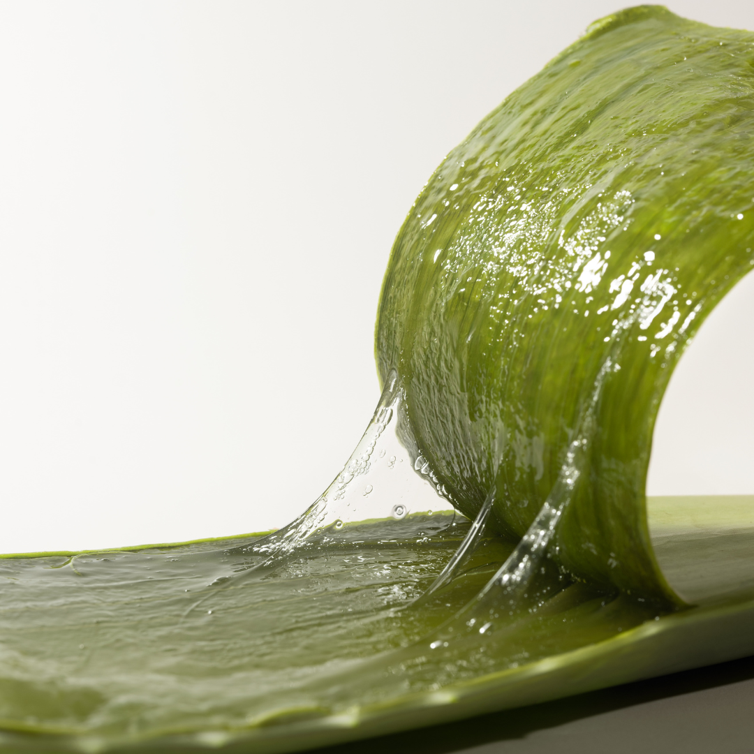 kosmetik mit aloe vera Bio Aloe Vera Gel – Bernecker Cosmetics GmbH main image 1