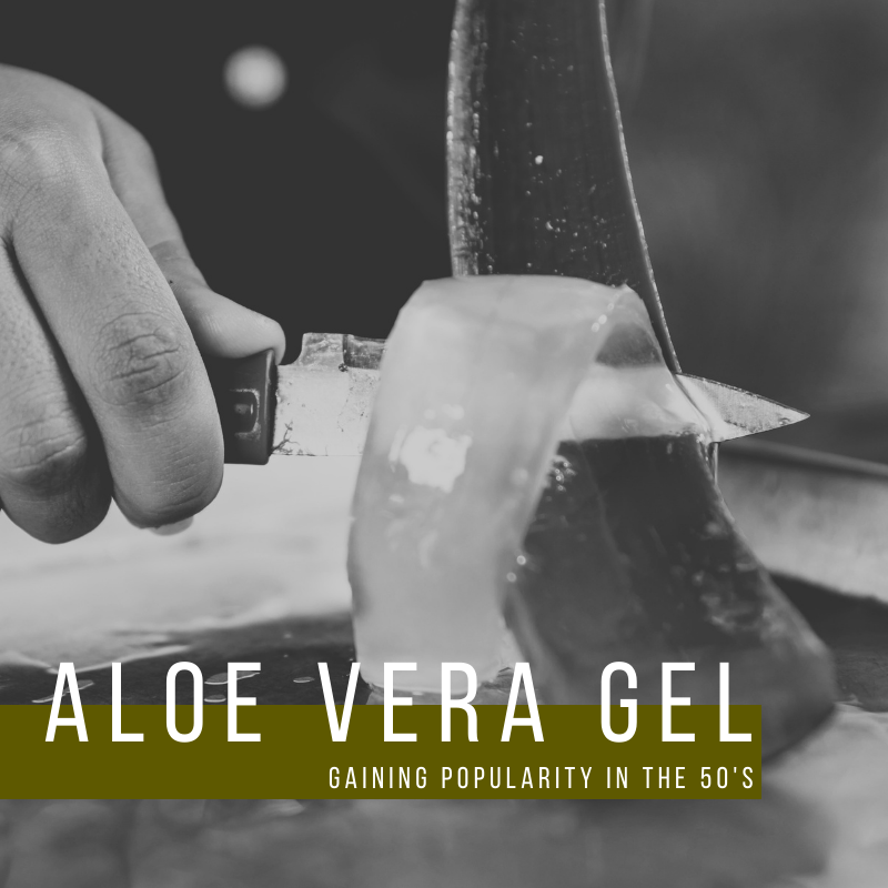 Aloe Vera |  Gaining Popularity in the 50's