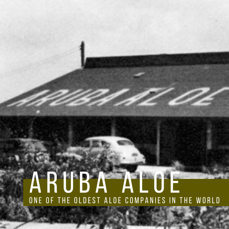 Aruba Aloe | one of the oldest companies in the World
