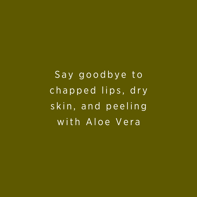 Aloe Vera | For Chapped Lips